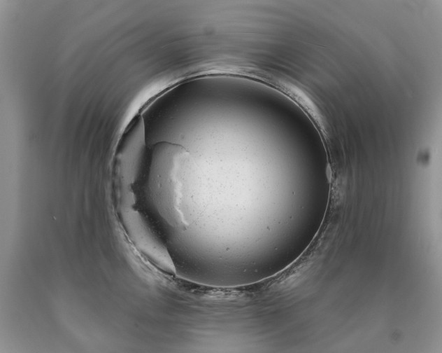 X0000090461146200707201329