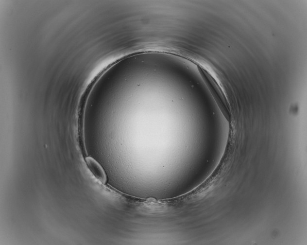 X0000090461147200707201329