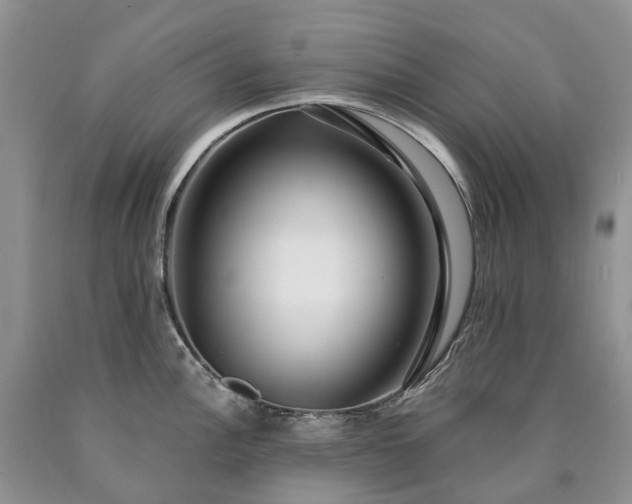 X0000090461148200707201329