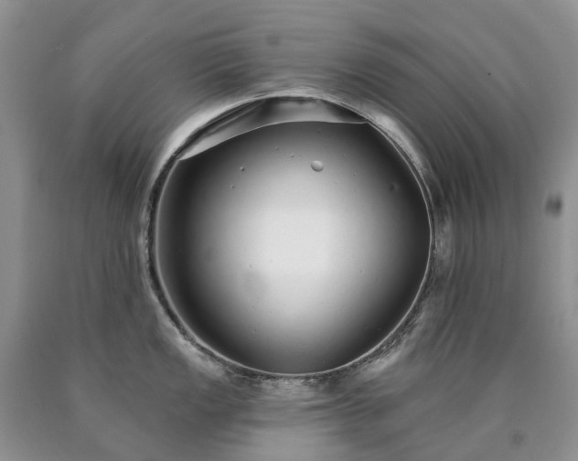 X0000090461149200707201329