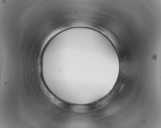 X0000090461150200707201329
