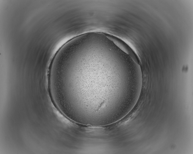 X0000090461151200707201329