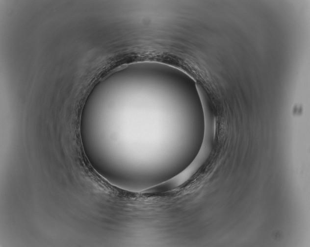 X0000090461153200707201328