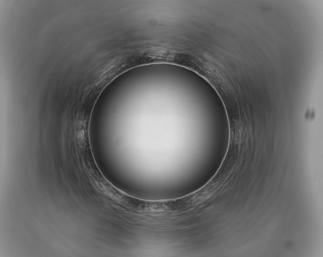X0000090461154200707201328