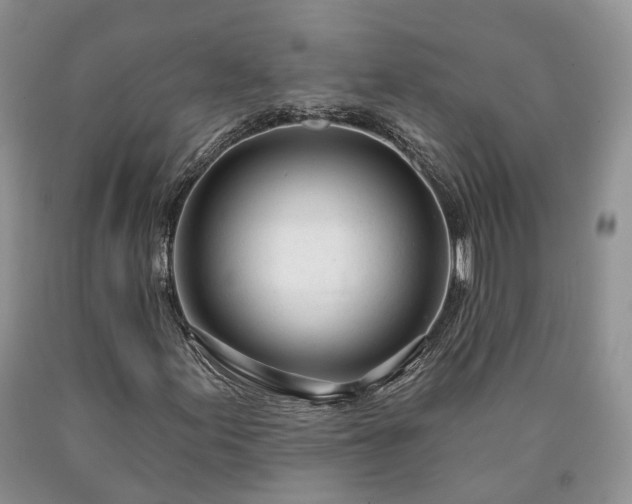 X0000090461155200707201328
