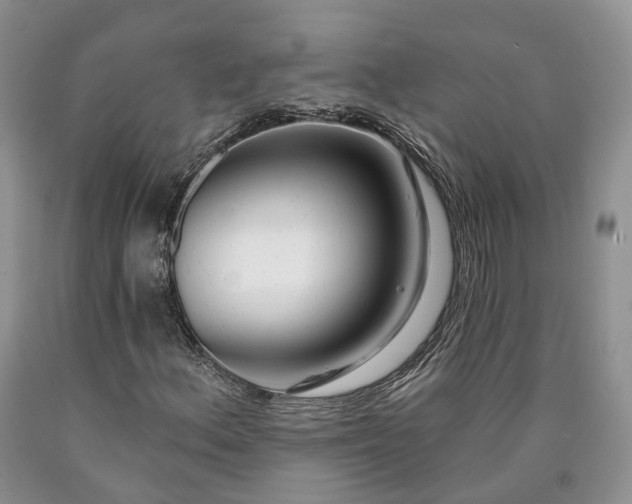 X0000090461156200707201328