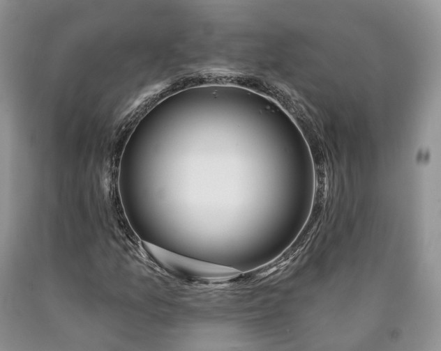 X0000090461157200707201328