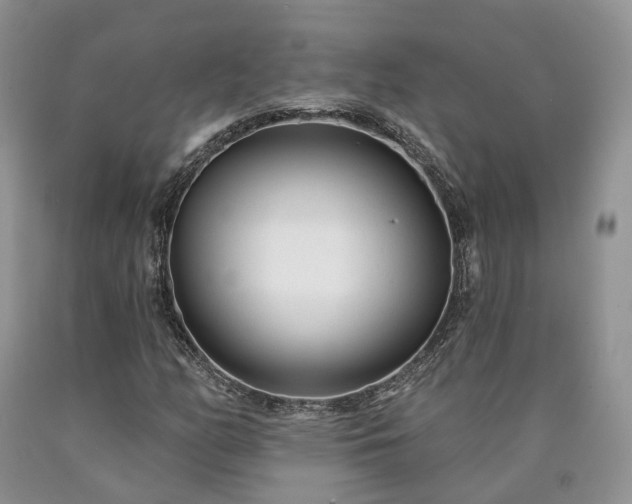 X0000090461158200707201328