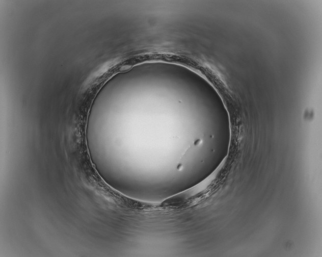 X0000090461159200707201328