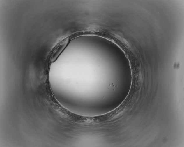 X0000090461160200707201328