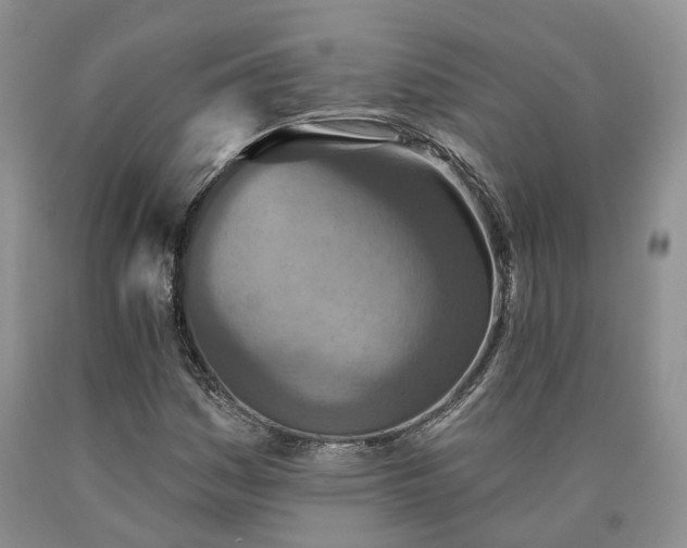 X0000090461161200707201328