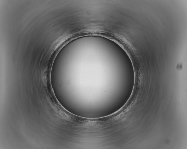 X0000090461162200707201328