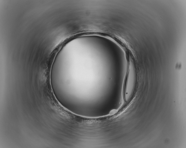 X0000090461163200707201328