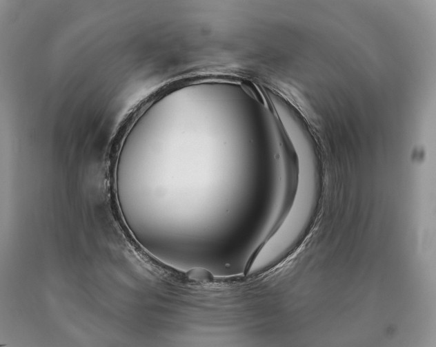 X0000090461164200707201328