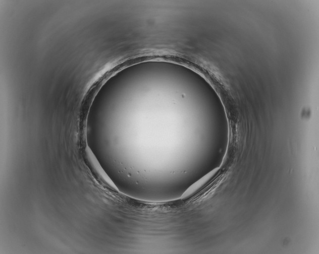 X0000090461165200707201328