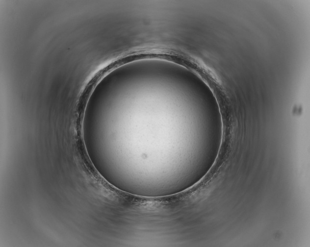 X0000090461166200707201328
