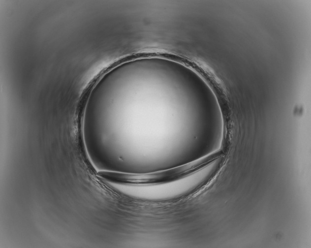 X0000090461167200707201328