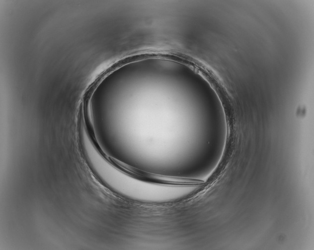 X0000090461168200707201328