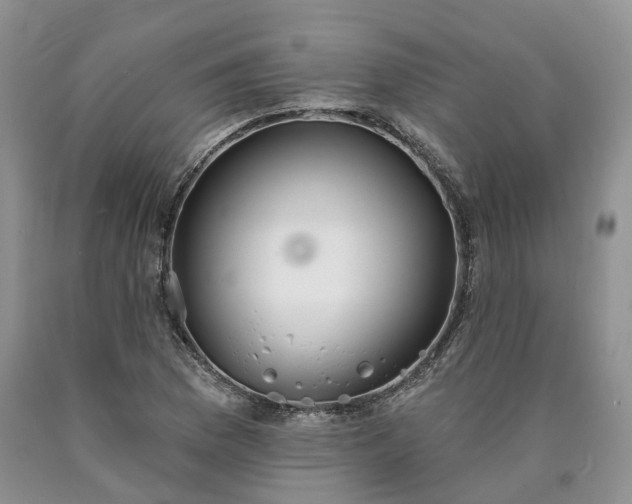 X0000090461169200707201328