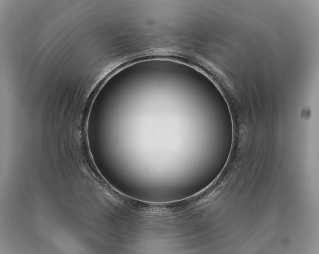 X0000090461170200707201328