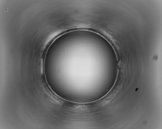 X0000090461171200707201328