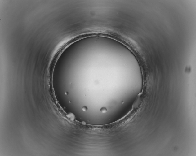 X0000090461172200707201328