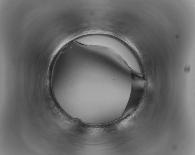 X0000090461173200707201328