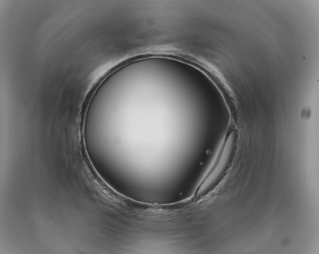 X0000090461176200707201328