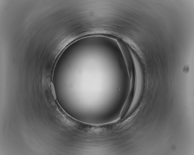 X0000090461177200707201328
