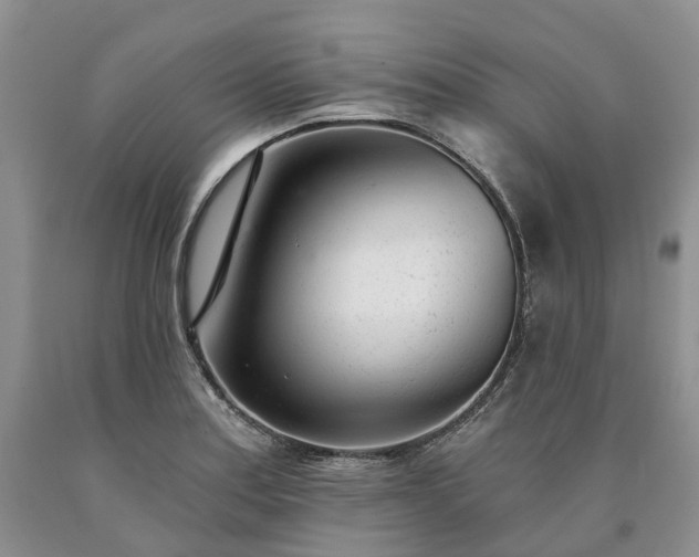 X0000090461179200707201328