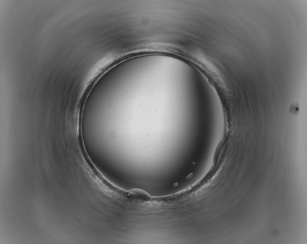 X0000090461180200707201328