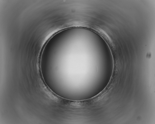 X0000090461182200707201328