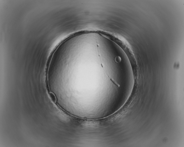 X0000090461183200707201328