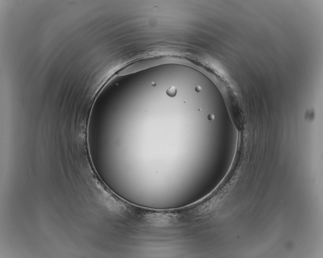 X0000090461185200707201328