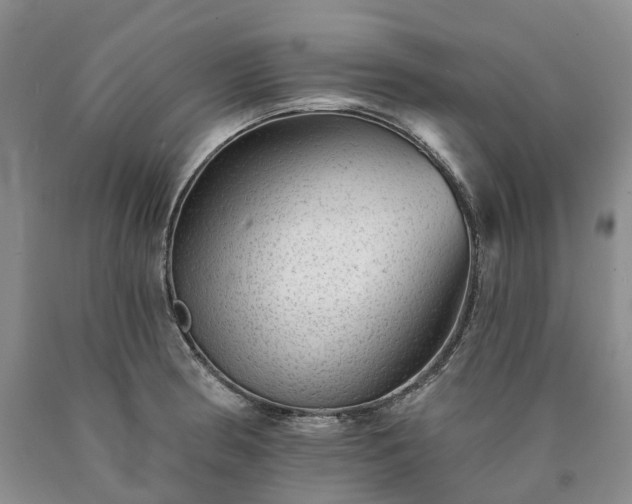 X0000090461186200707201328