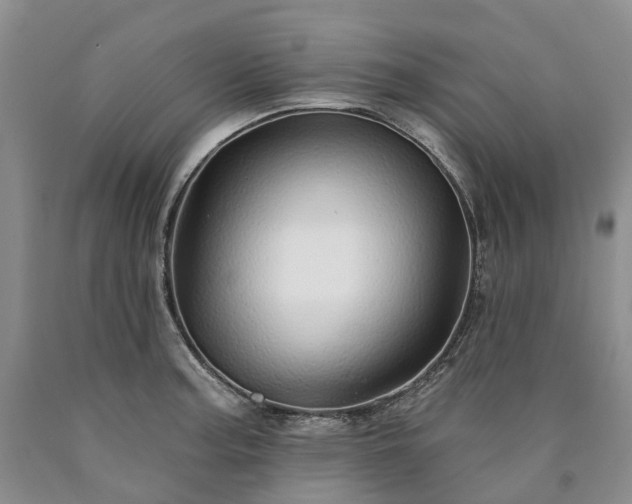 X0000090461187200707201328
