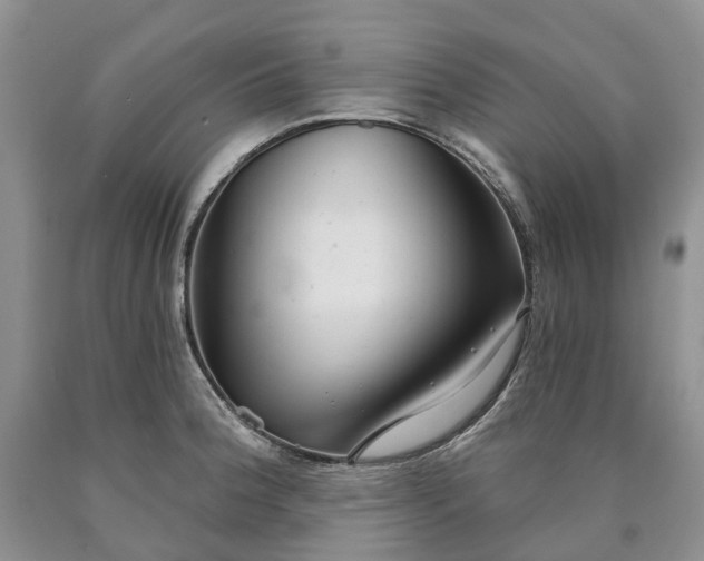 X0000090461188200707201328