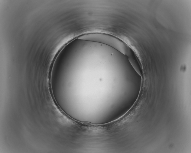 X0000090461189200707201328