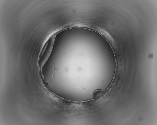X0000090461190200707201328