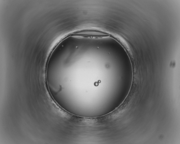 X0000090461191200707201328