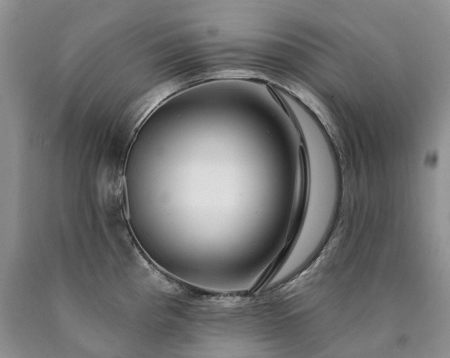 X0000090461193200707201328