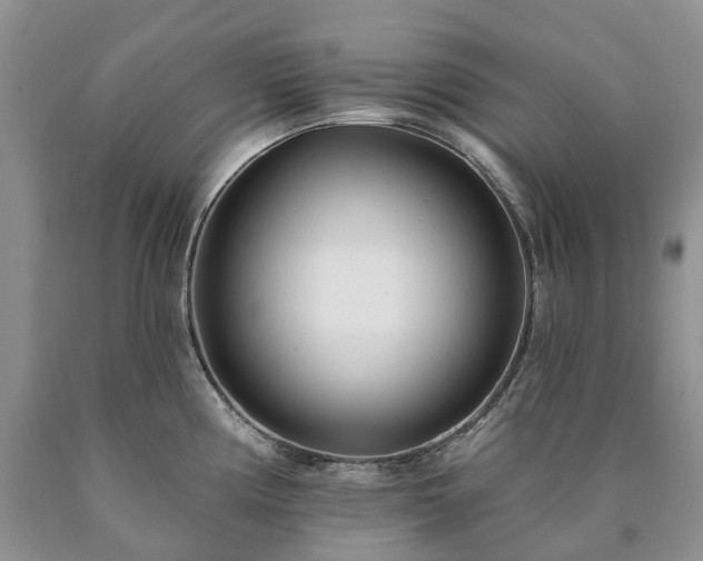 X0000090461194200707201328