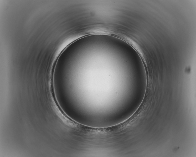 X0000090461195200707201328