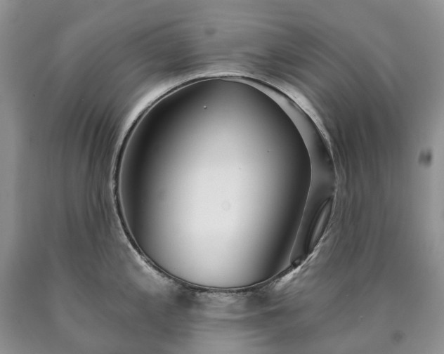 X0000090461197200707201328