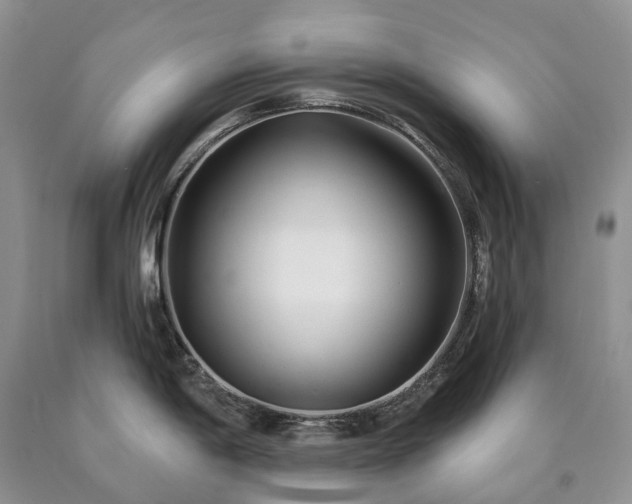 X0000090461198200707201328