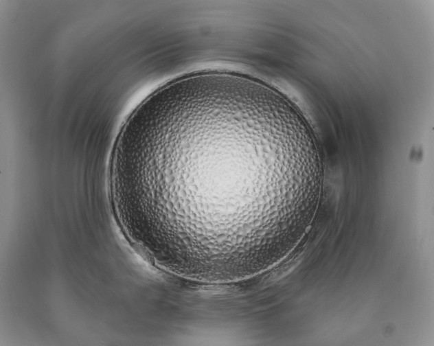 X0000090461199200707201328
