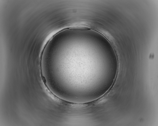 X0000090461200200707201328