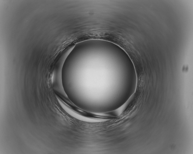 X0000090461202200707201327