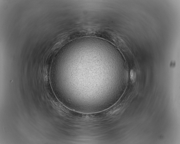 X0000090461203200707201327