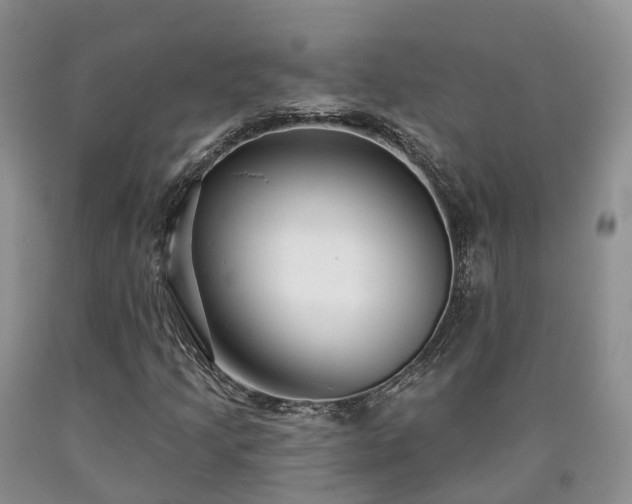 X0000090461205200707201327
